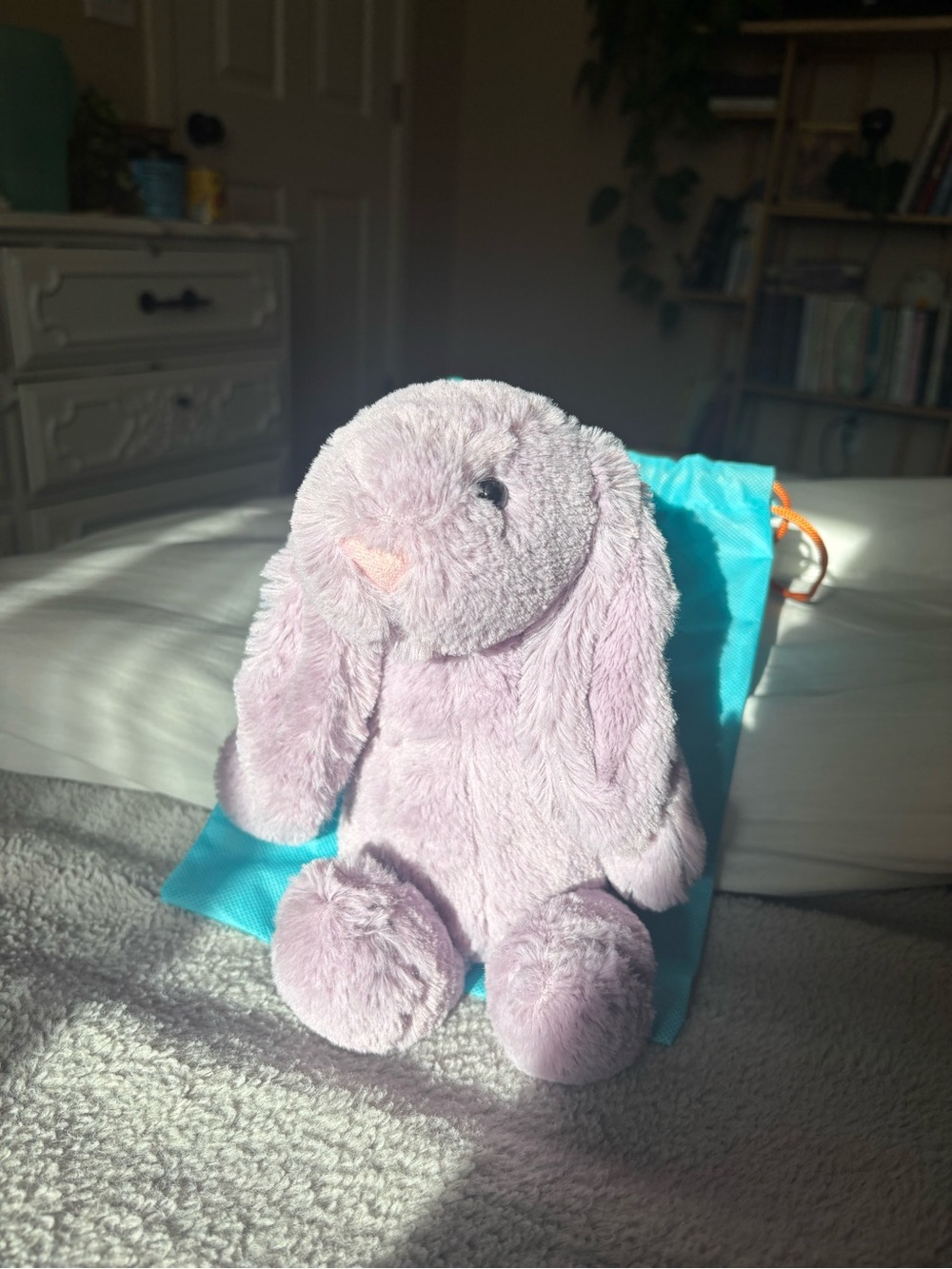 Jellycat Bunny